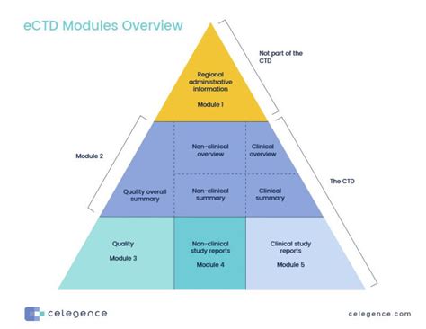 Module 1 .